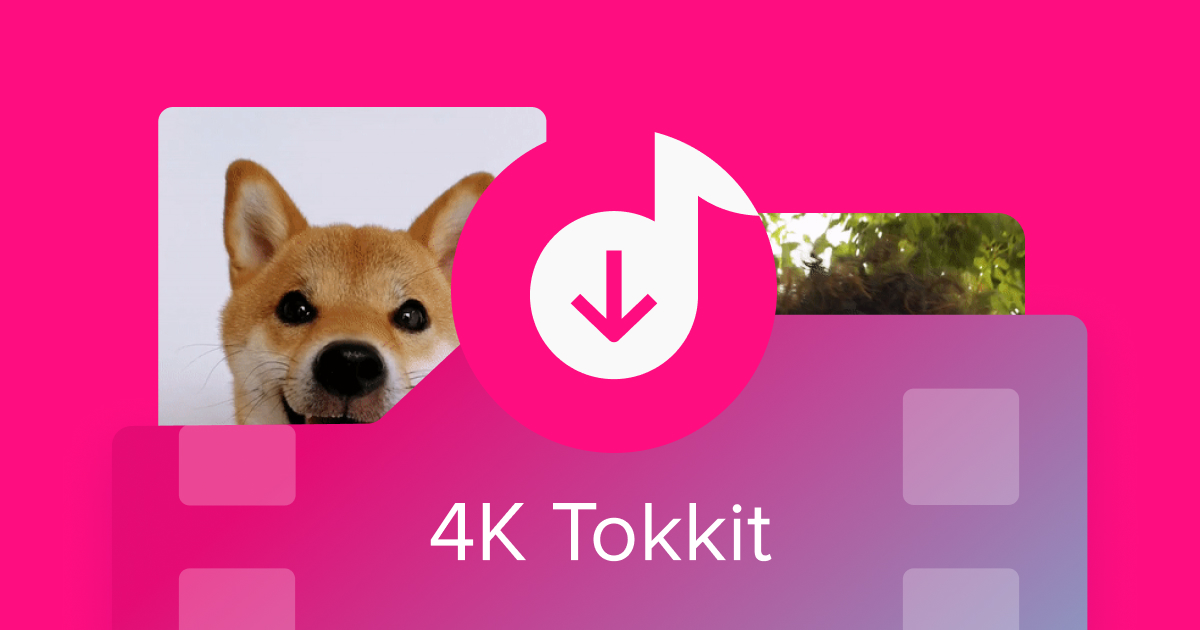 4K Tokkit, TikTok Videos, Hashtags & Accounts Downloader