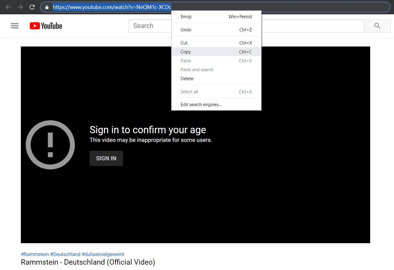 4k video downloader age restricted