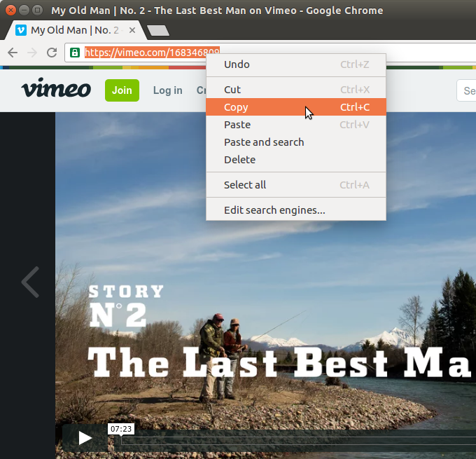 sottotitoli da vimeo