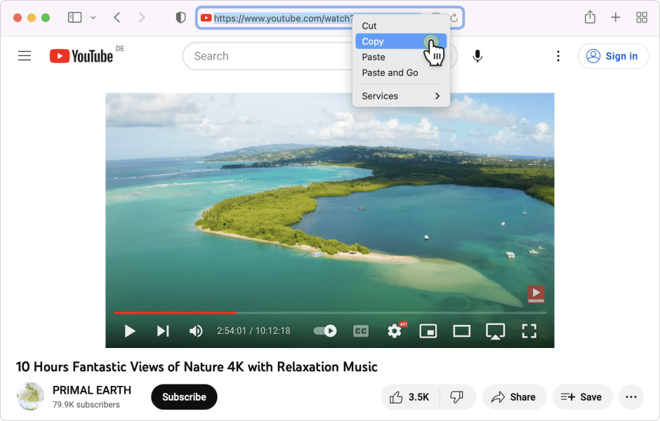 Youtube video downloader with subtitles
