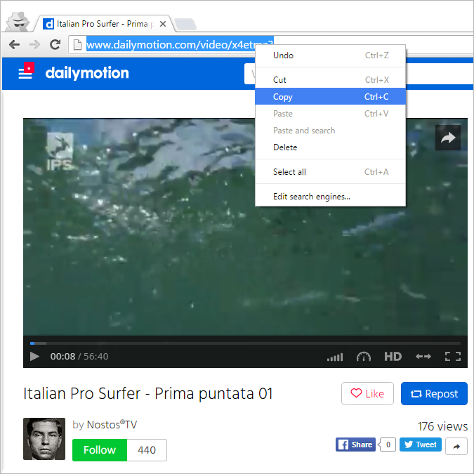 does 4k video downloader download dailymotion videos