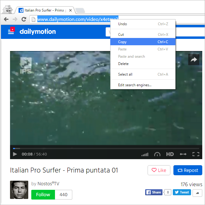 4k video downloader dailymotion