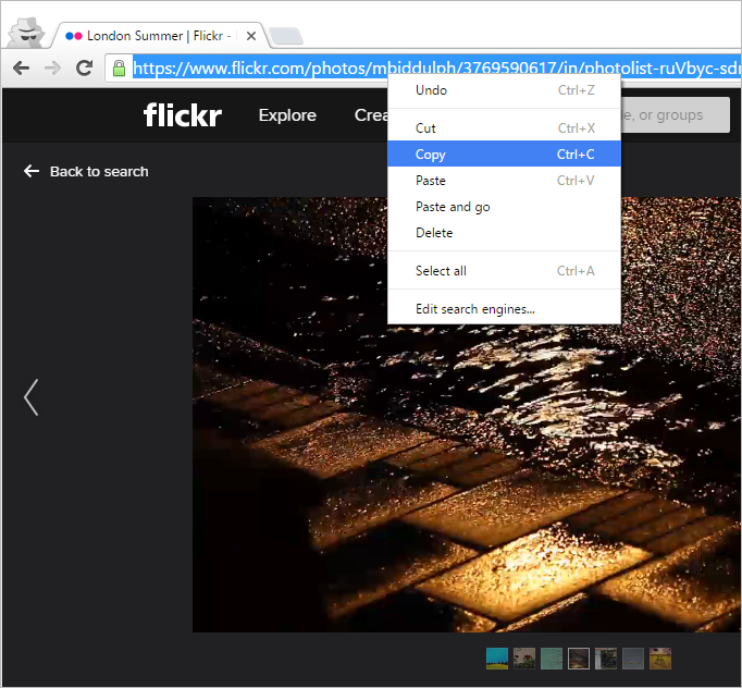Copy browser link Flickr video