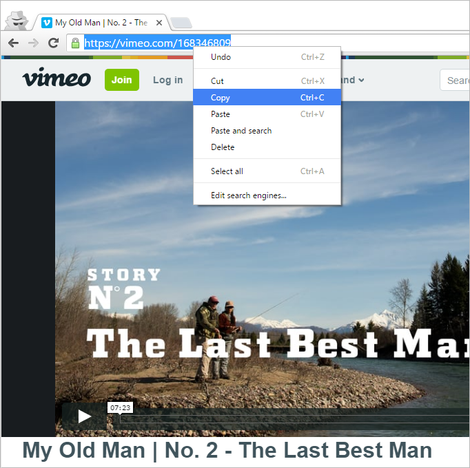 Copy browser link Vimeo video