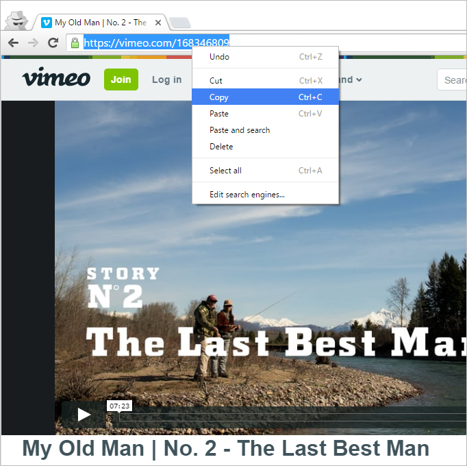 vimeo create unique link