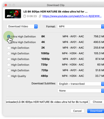 How to Download 4K (Ultra HD) Video from with Highest Quality
