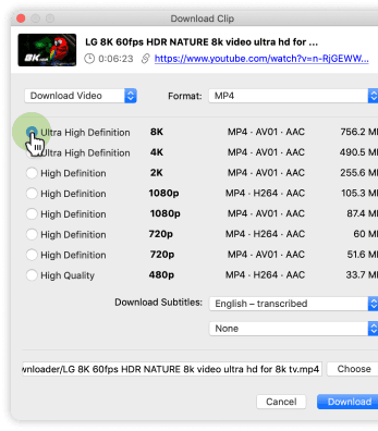 How to Get 4K 60fps Video Downloaded from